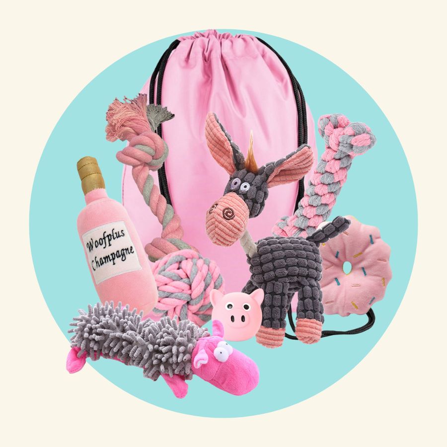 Dog Toy Mega Pack